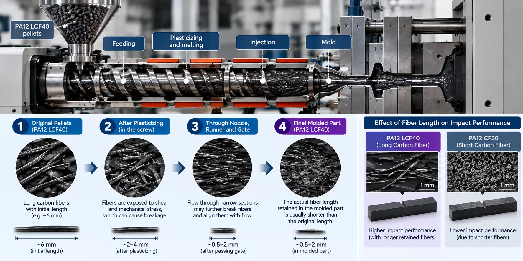 Long carbon fiber breakage and fiber length retention during PA12 LCF40 injection molding, showing the effects of plasticizing, nozzle flow, and gate restrictions on final part performance.