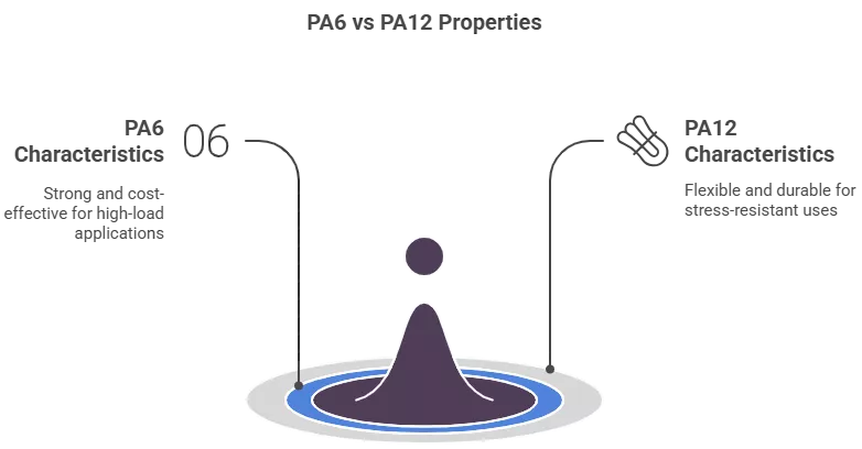 PA6 vs PA12: which to choose?